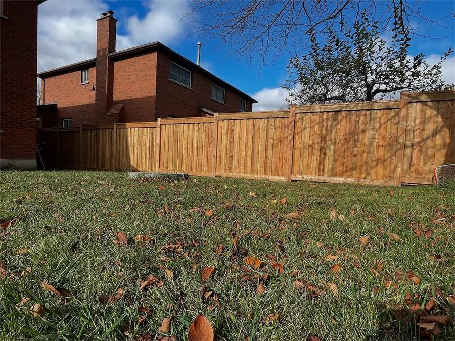New cedar privacy fence along a backyard