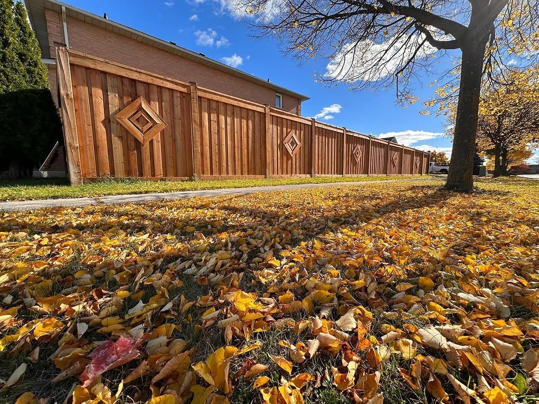 Long cedar privacy fence with diamond inserts and fall leaves on the lawn